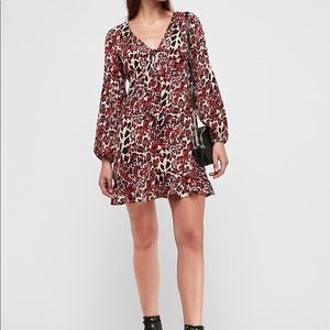 Express Leopard Print Dress